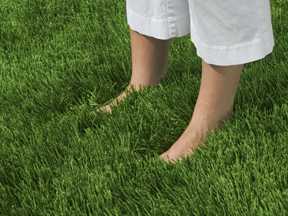 bare feet standing in grass